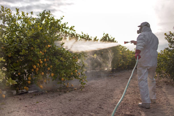 Best Cockroach Control Services  in Columbus, MN