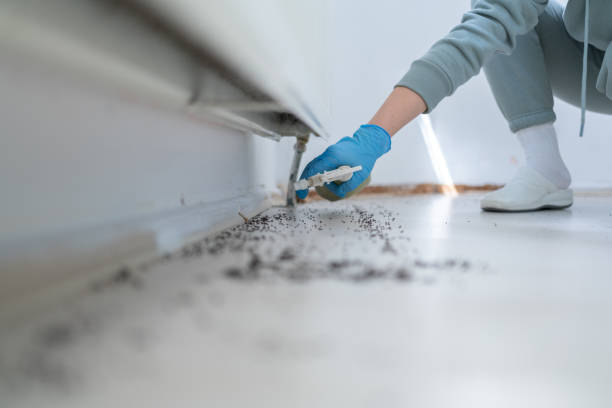 Professional Pest Control in Columbus, MN